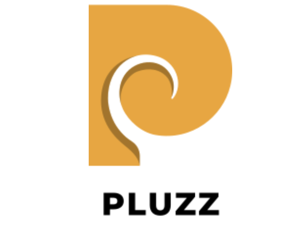 Pluzz Hair Dryer logo